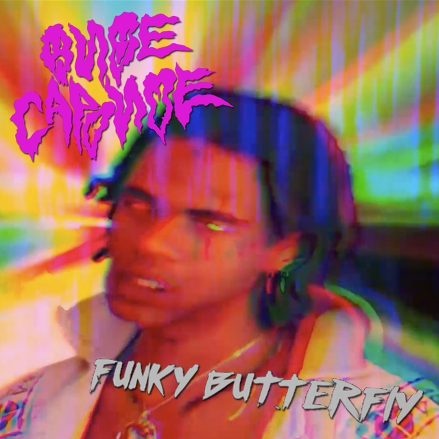 Couverture de Funky Butterfly