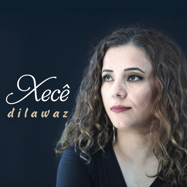 Couverture de Dil Awaz