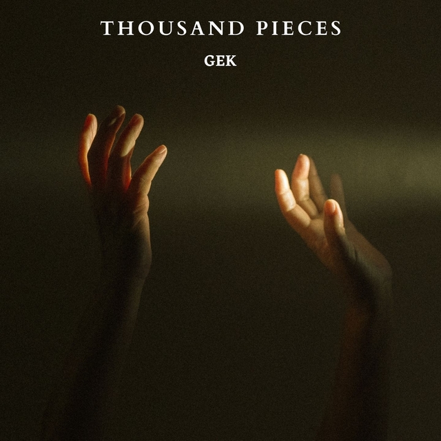 Couverture de Thousand pieces