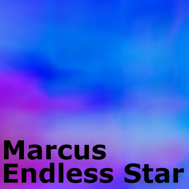 Couverture de Endless Star