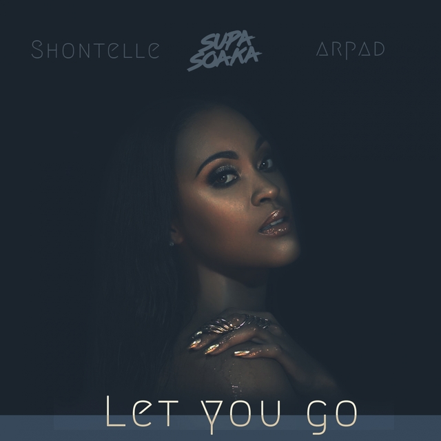 Couverture de Let You Go