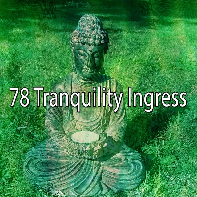 Couverture de 78 Tranquility Ingress