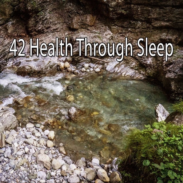 42 Health Through Sleep