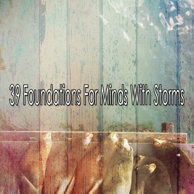 39 Foundations For Minds With Storms