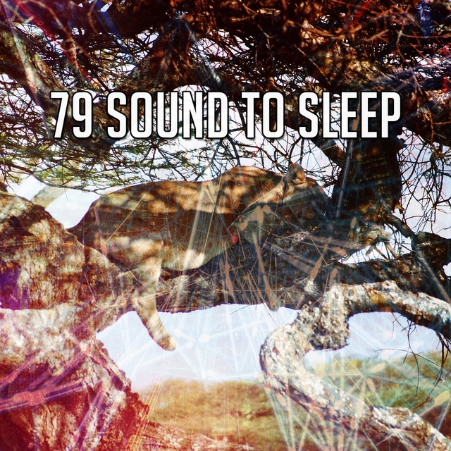 79 Sound To Sleep