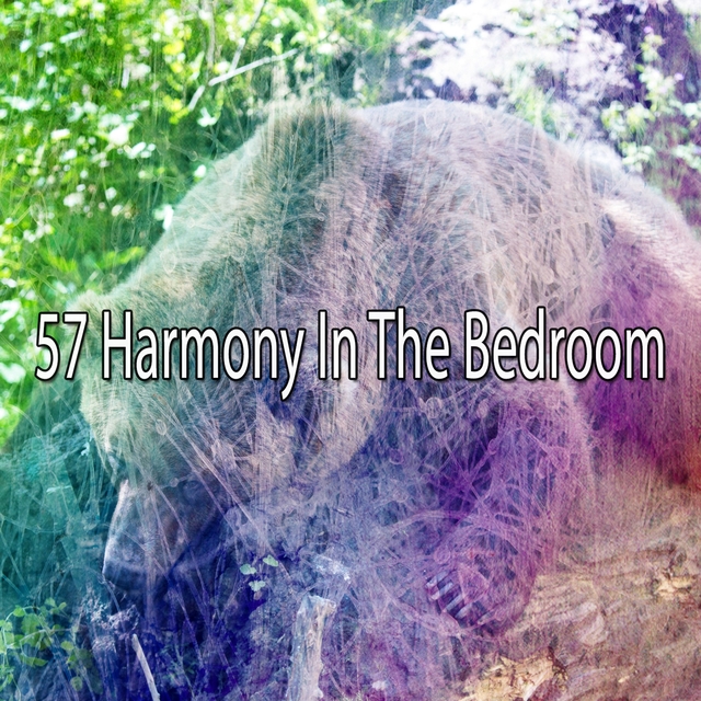 57 Harmony In The Bedroom