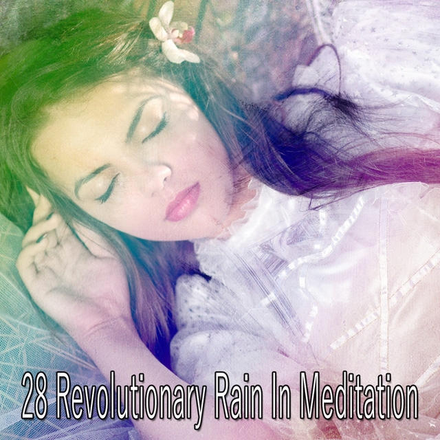 28 Revolutionary Rain In Meditation