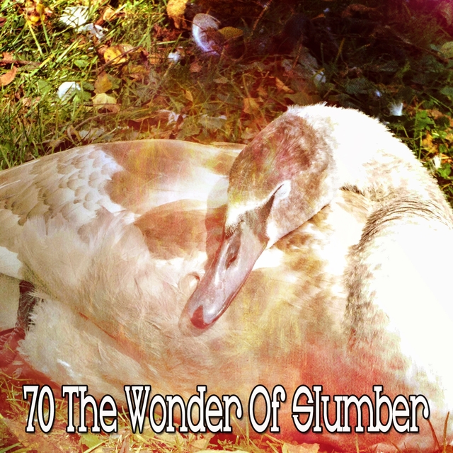 70 The Wonder Of Slumber