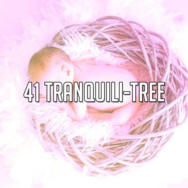 41 Tranquili Tree