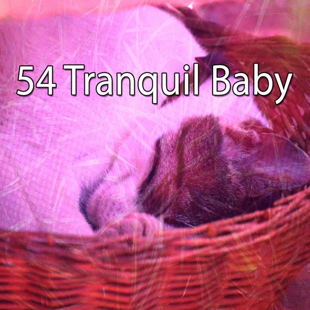 54 Tranquil Baby