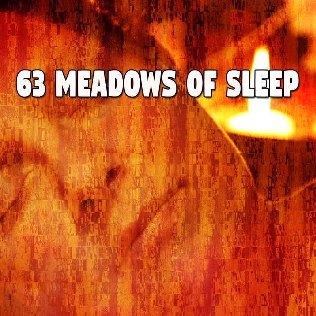 63 Meadows Of Sleep