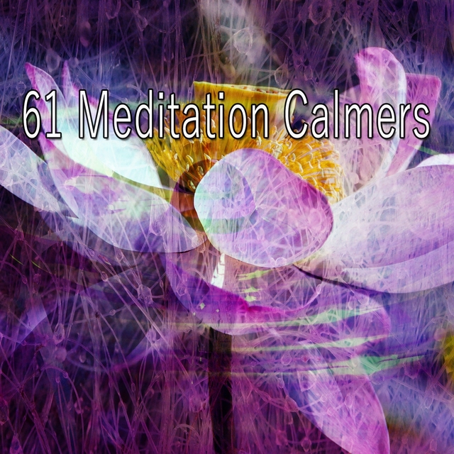 61 Meditation Calmers