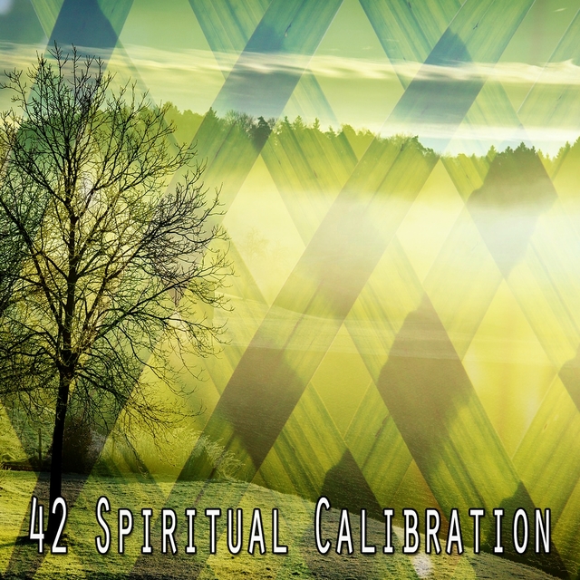 42 Spiritual Calibration