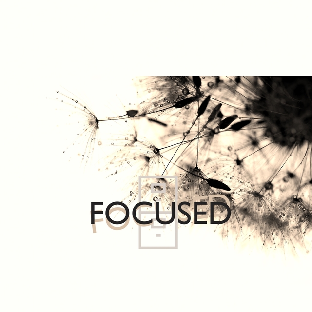 Couverture de Focused