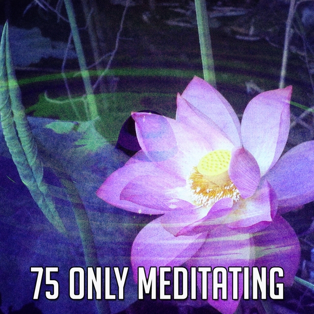 75 Only Meditating