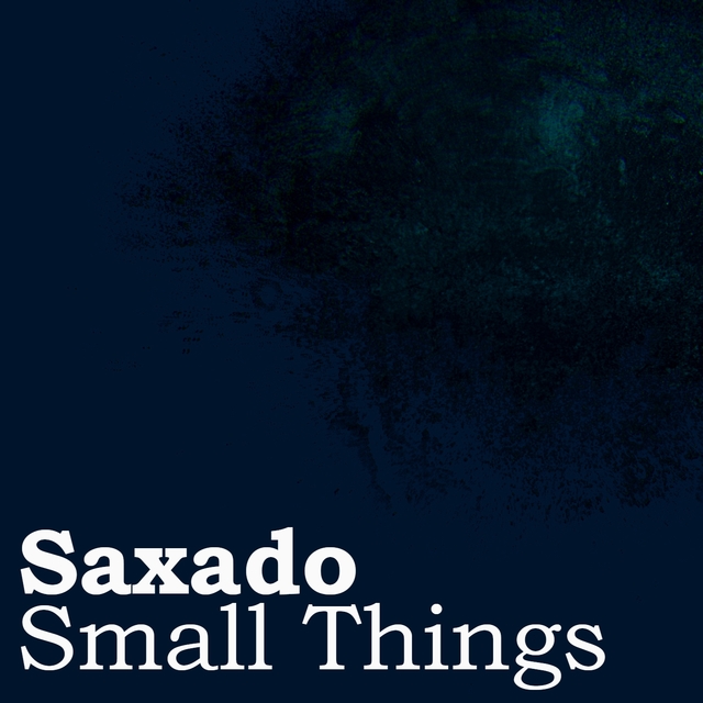 Couverture de Small Things