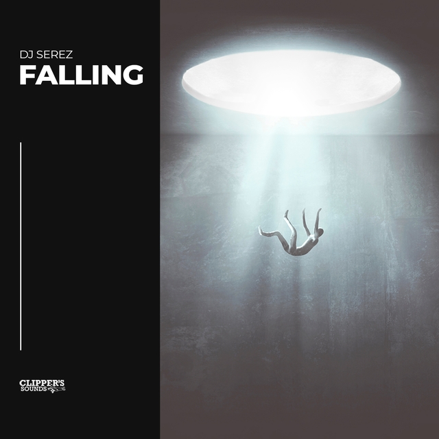 Couverture de Falling