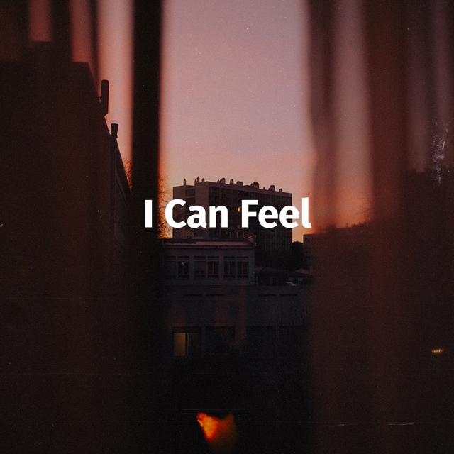 Couverture de I Can Feel