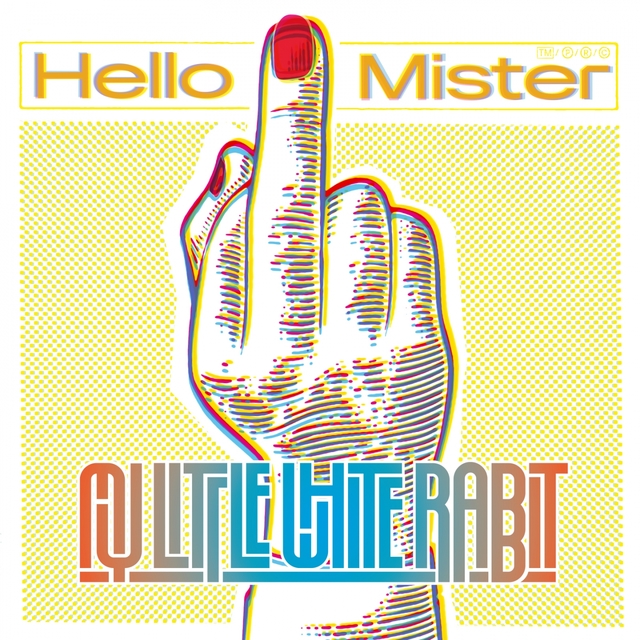 Couverture de Hello Mister