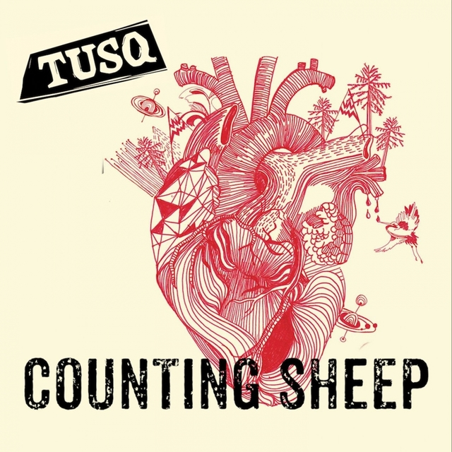 Couverture de Counting Sheep