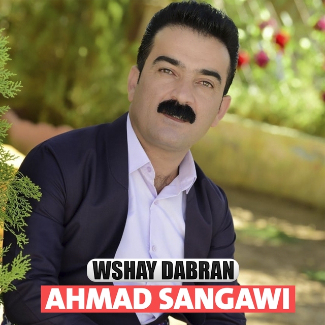 Couverture de Wshay Dabran