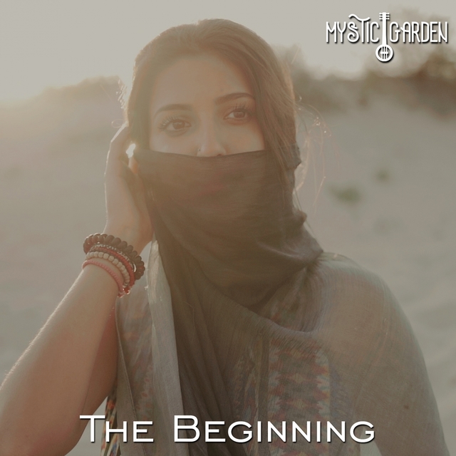 Couverture de The Beginning