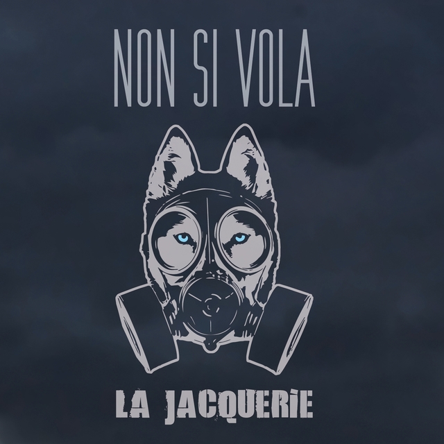 Couverture de Non si vola