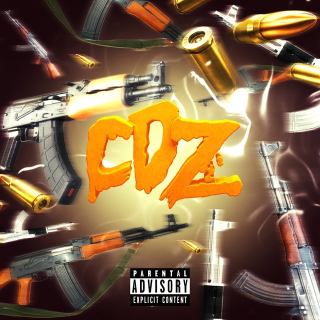 Couverture de CDZ