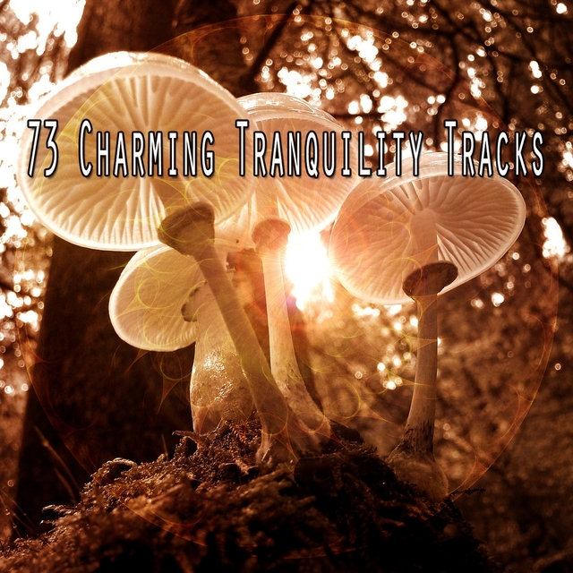 73 Charming Tranquility Tracks