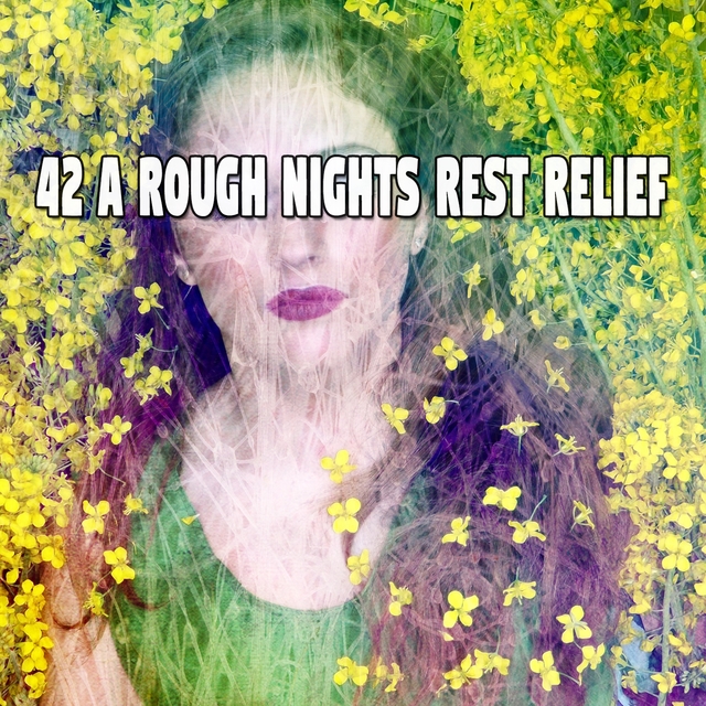 Couverture de 42 A Rough Nights Rest Relief