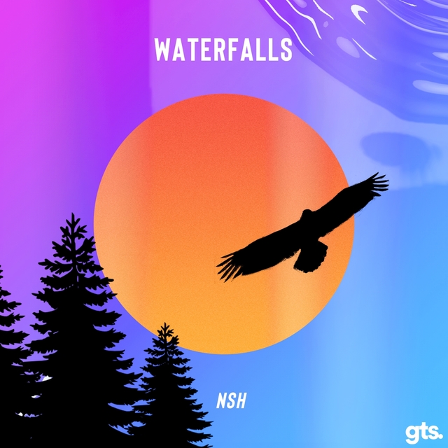 Couverture de Waterfalls