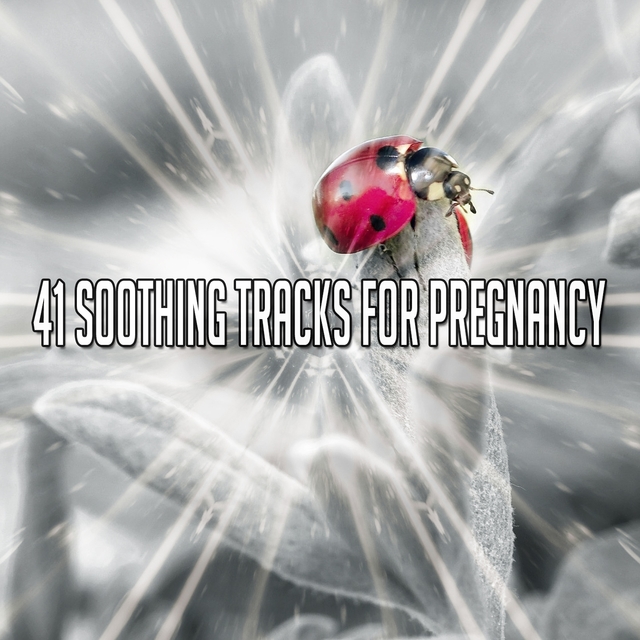 Couverture de 41 Soothing Tracks for Pregnancy
