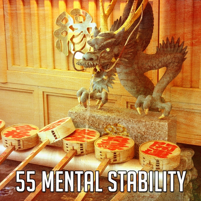 Couverture de 55 Mental Stability