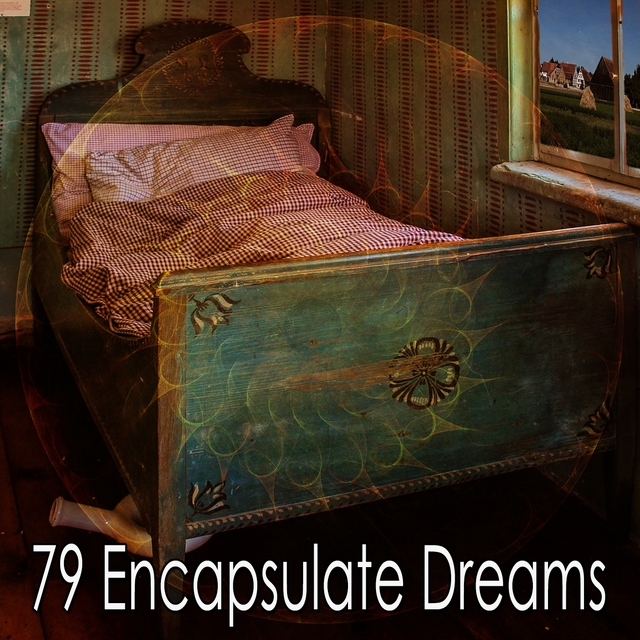 79 Encapsulate Dreams