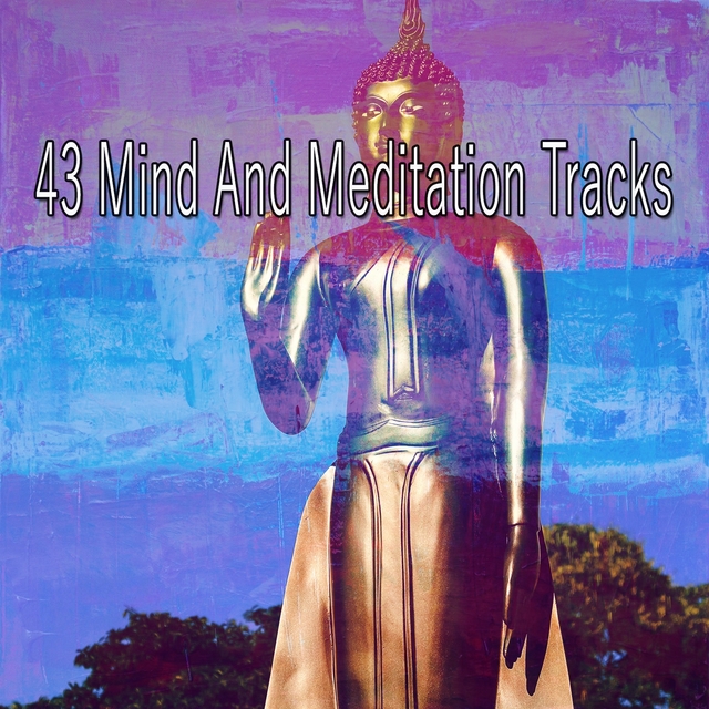 43 Mind and Meditation Tracks