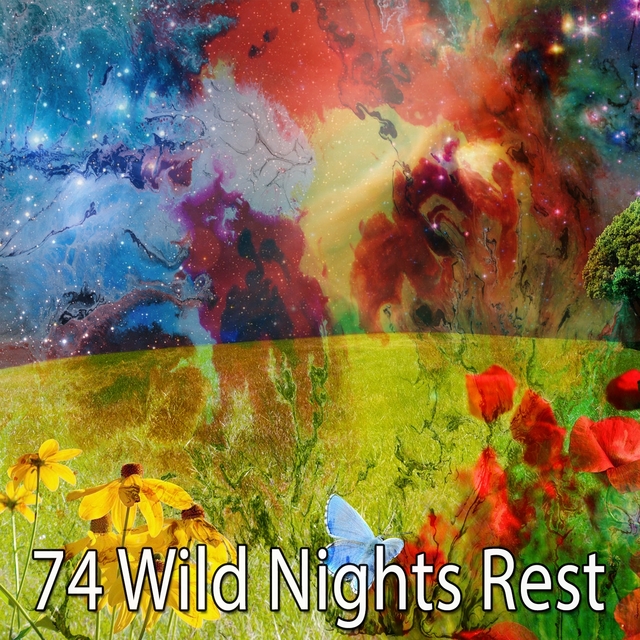 74 Wild Nights Rest