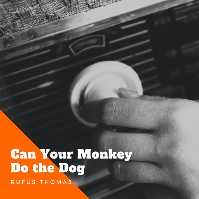 Couverture de Can Your Monkey Do the Dog