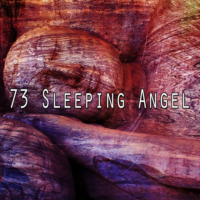 73 Sleeping Angel