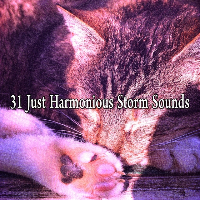 31 Just Harmonious Storm Sounds