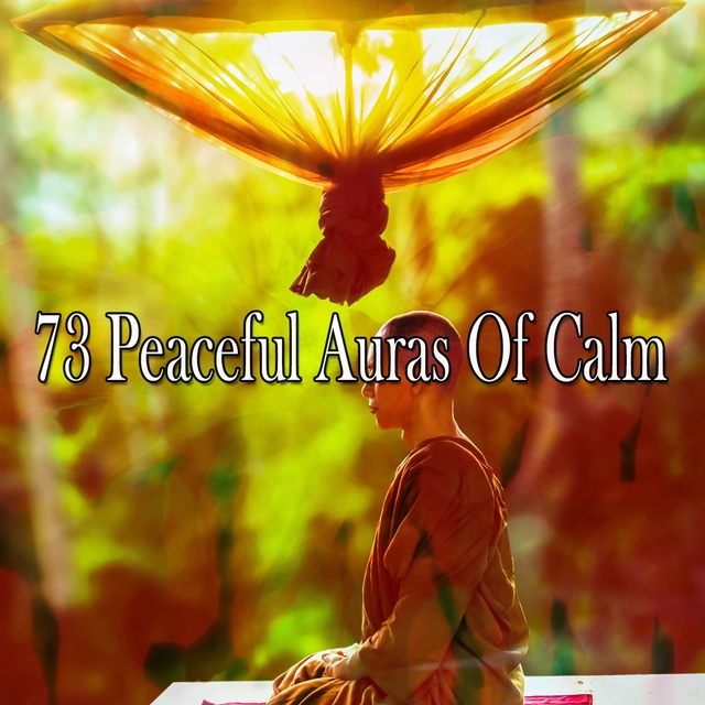 73 Peaceful Auras of Calm