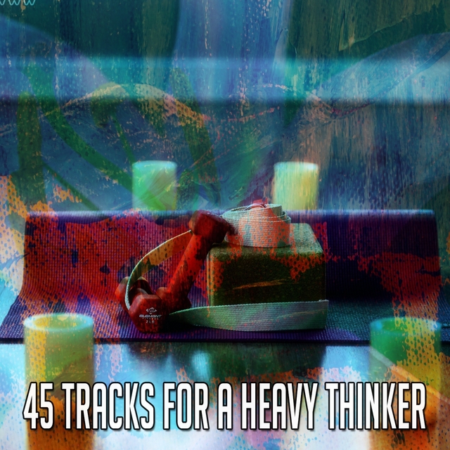 45 Tracks for a Heavy Thinker