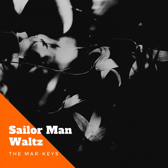 Couverture de Sailor Man Waltz