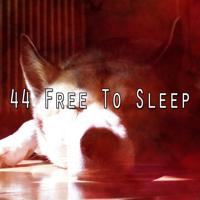 44 Free to Sle - EP