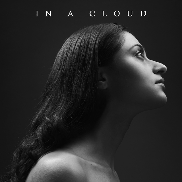 Couverture de In A Cloud