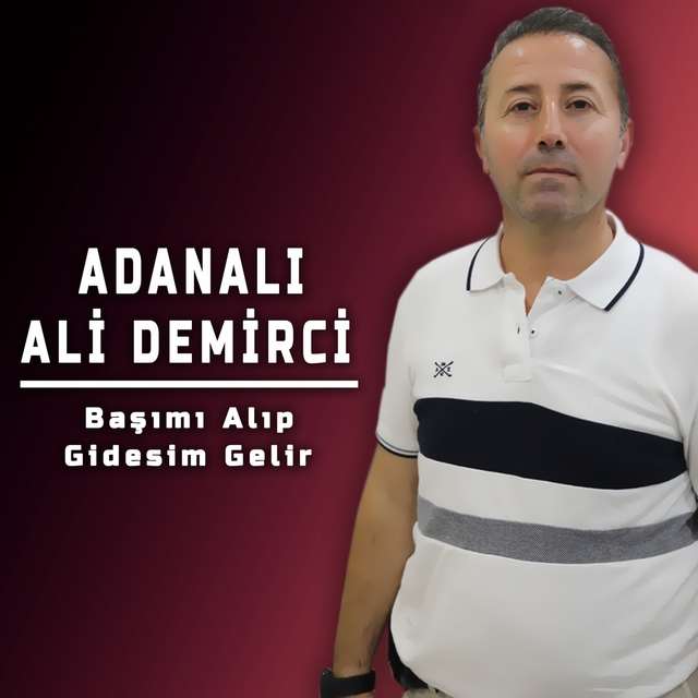 Couverture de Başımı Alıp Gidesim Var