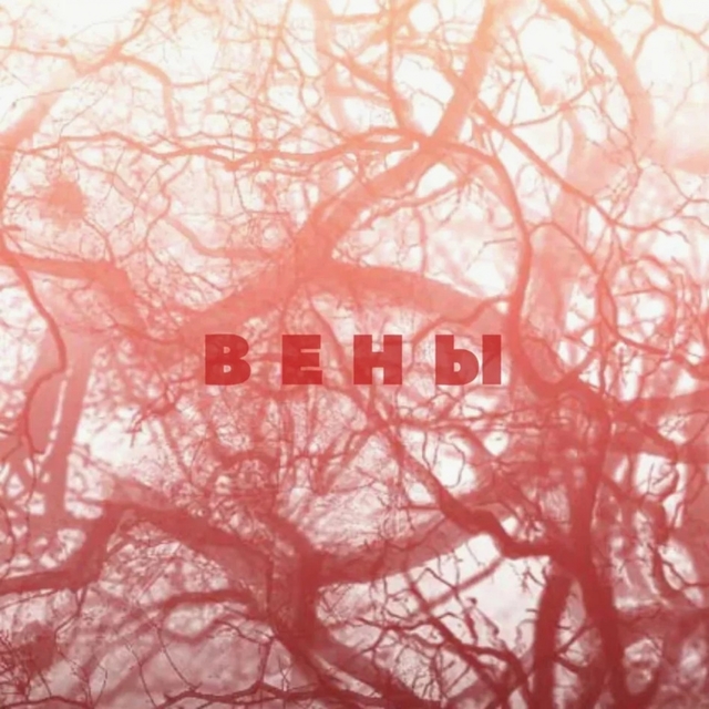 Couverture de Вены