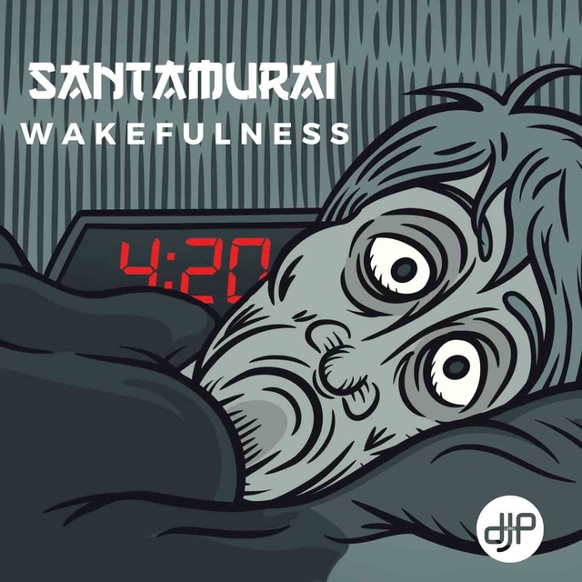 Couverture de Wakefulness