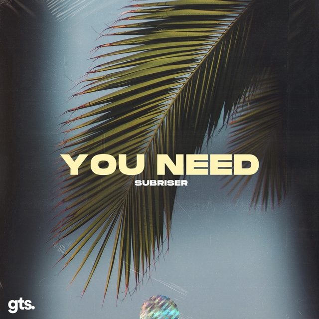 Couverture de You Need