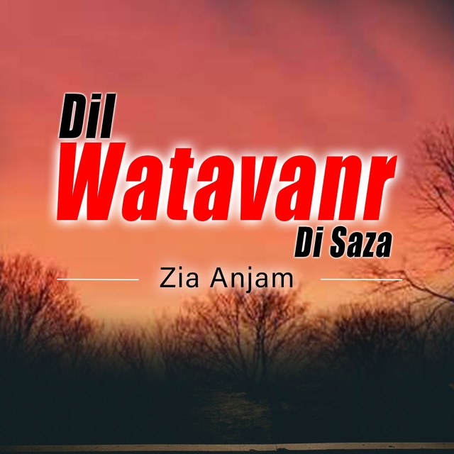 Couverture de Dil Watavanr Di Saza