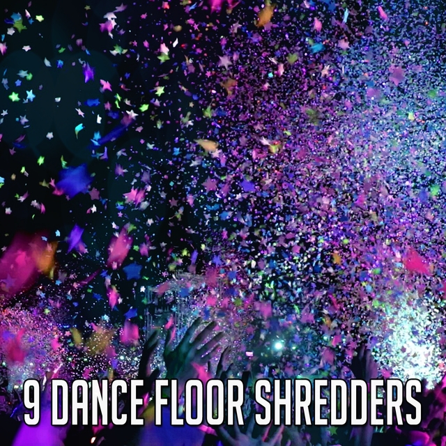 Couverture de 9 Dance Floor Shredders